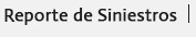 Reporte de Siniestros